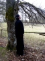 DSC08783.jpg