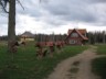 IMG_1412.jpg