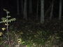 NecroLane031.jpg