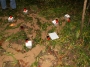 PICT0052.JPG