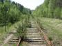 IMG-1625.jpg