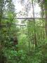 IMG-1700.jpg